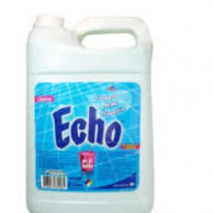 COD 485 AUTOBRILLO ECHO X 5LTS